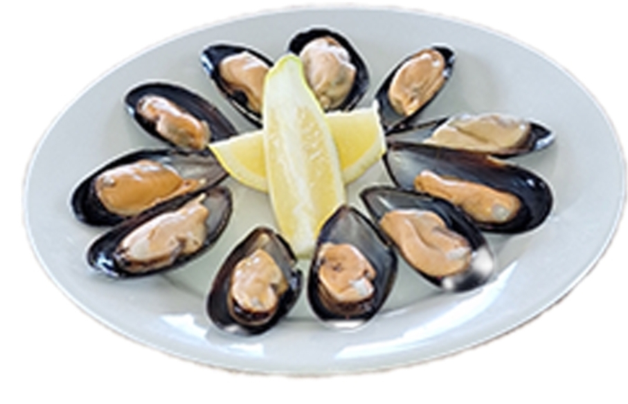 MEJILLONES