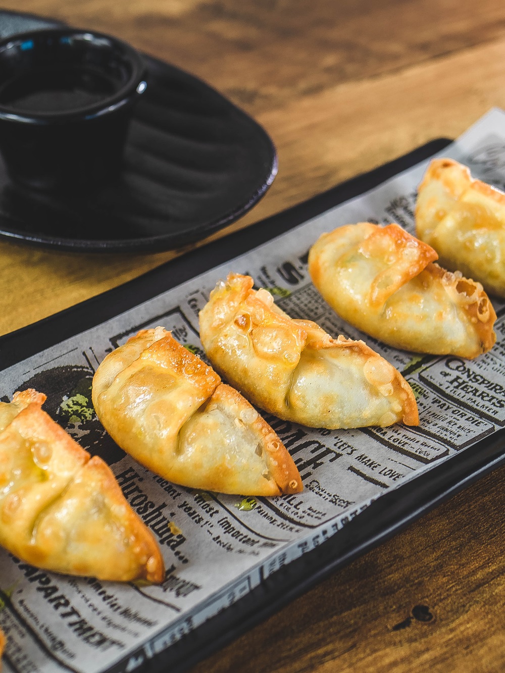 GYOZAS DE POLLO Y VERDURAS