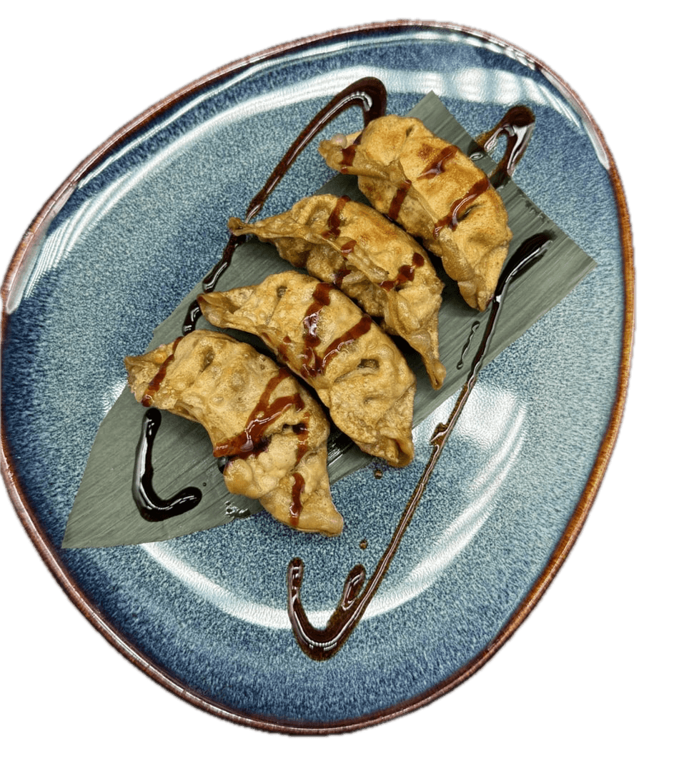17C GYOZA DE VERDURAS 4PZS