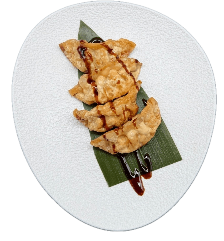 17 GYOZA DE CERDO 4PZS
