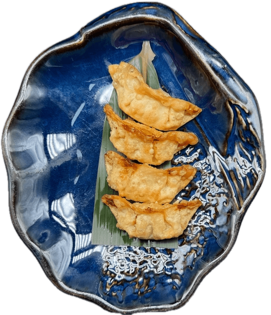 17A GYOZA DE POLLO Y VERDURAS 4PZS
