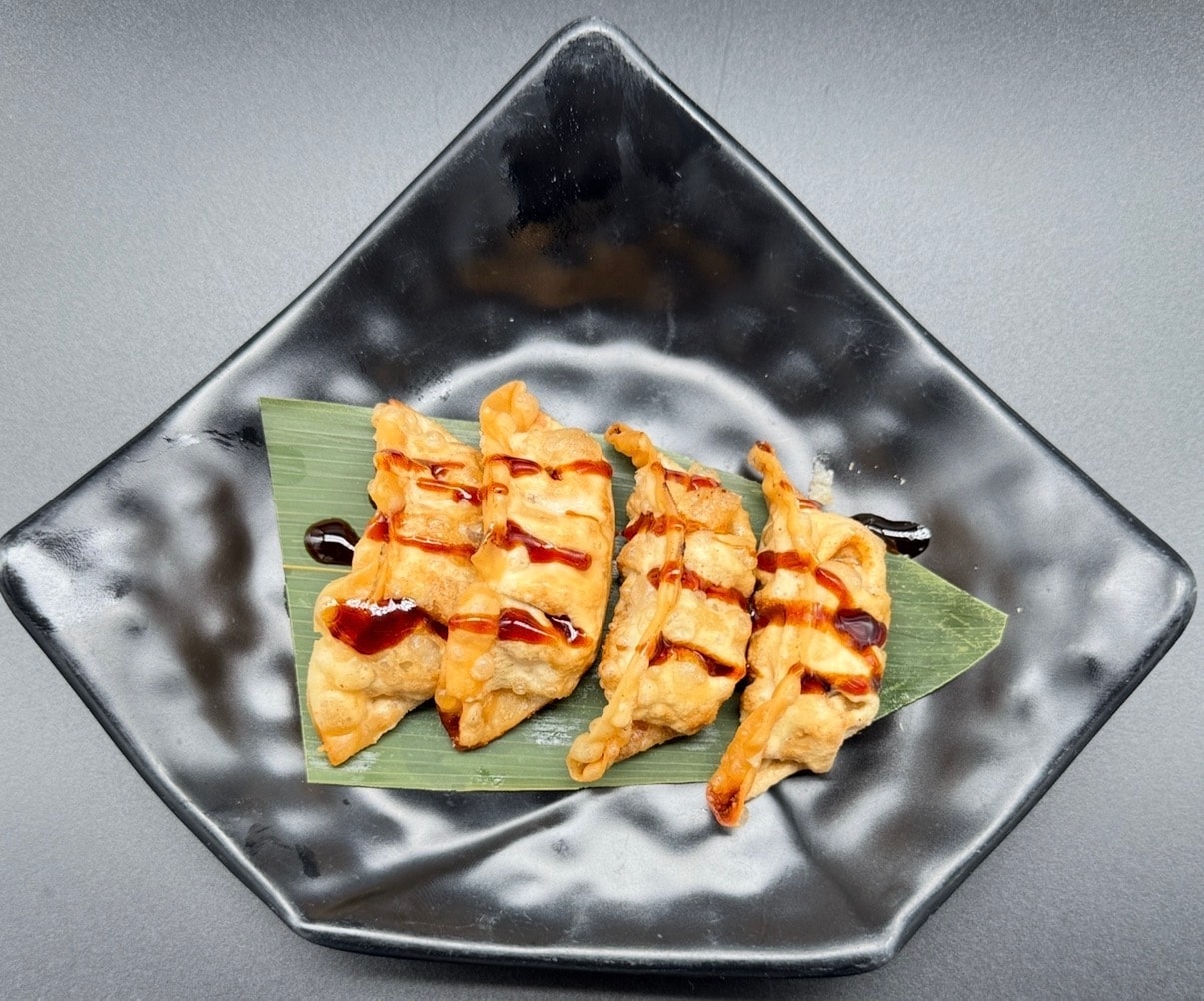 17B GYOZA DE PATO 4PZS