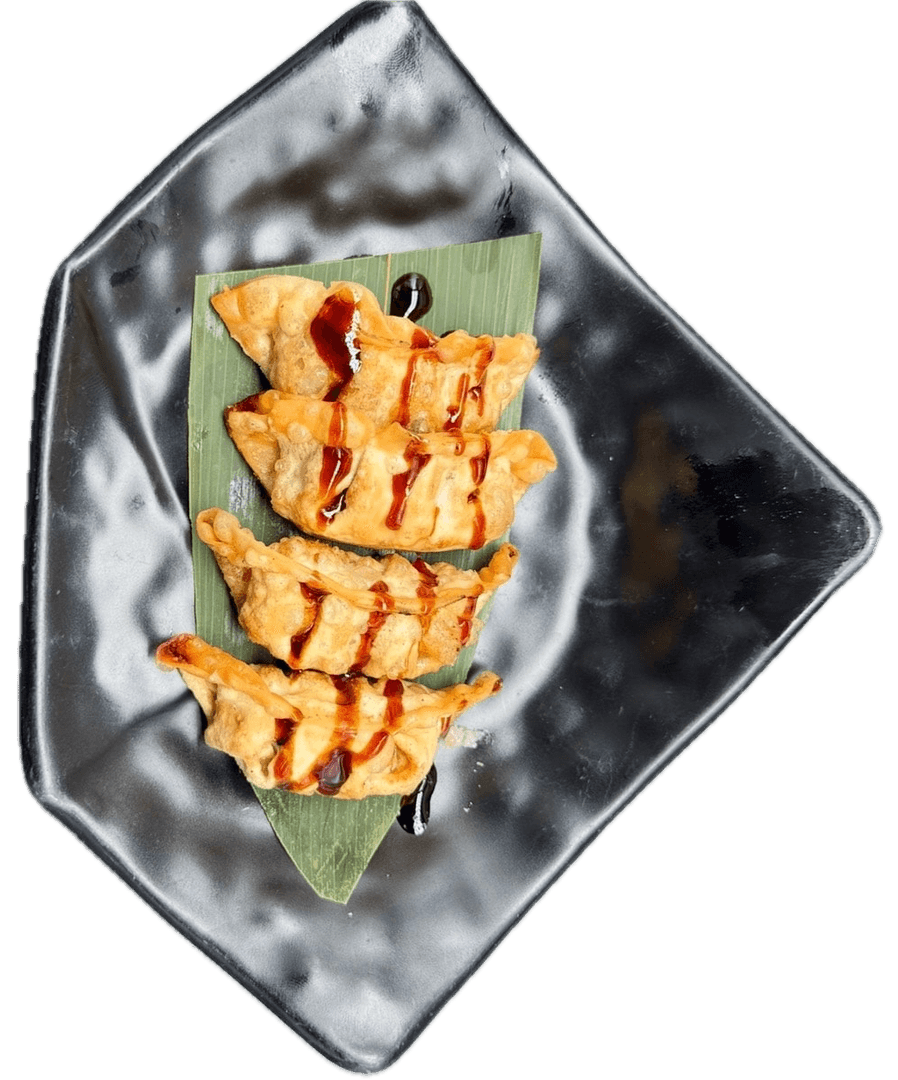 17B GYOZA DE PATO 4PZS