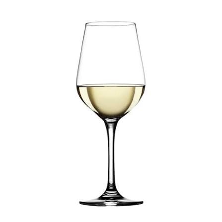COPA VINO BLANCOTINTO