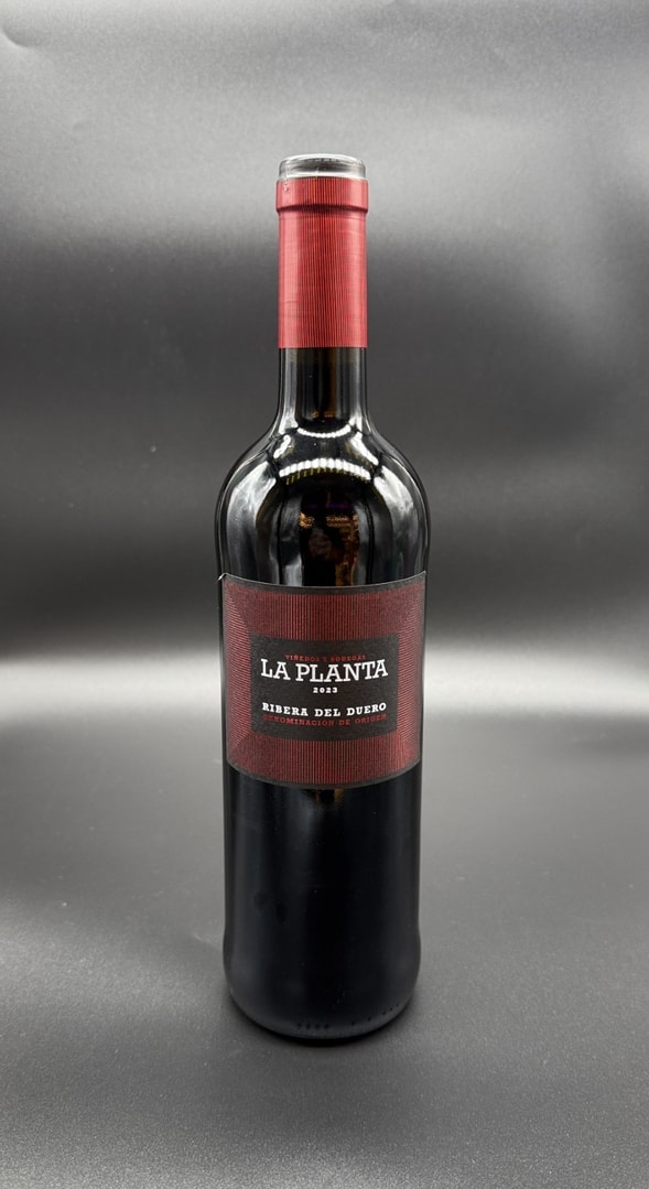 LA PLANTA