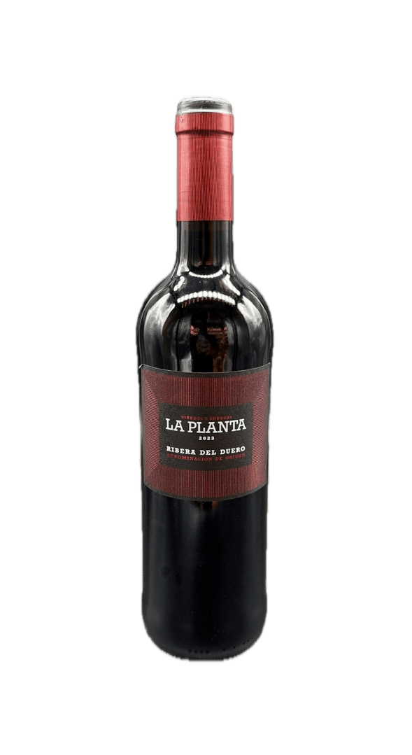 LA PLANTA