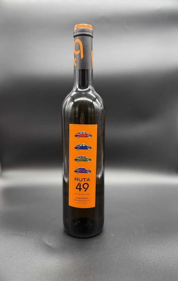 RUTA 49