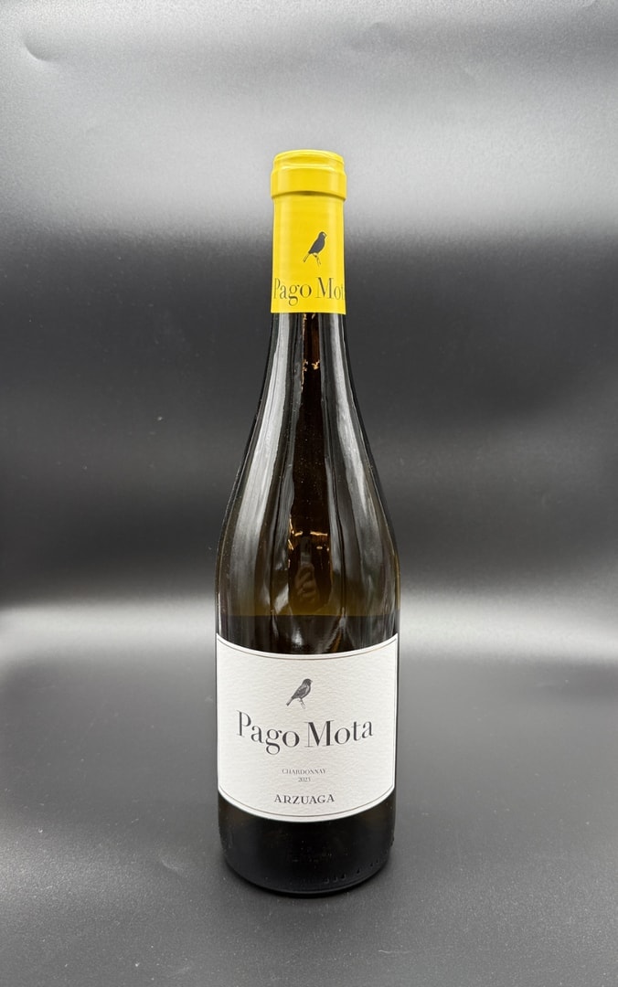 PAGO MOTA.