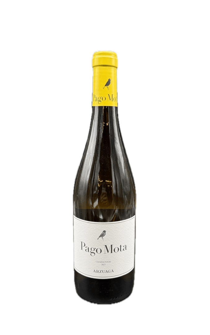 PAGO MOTA.